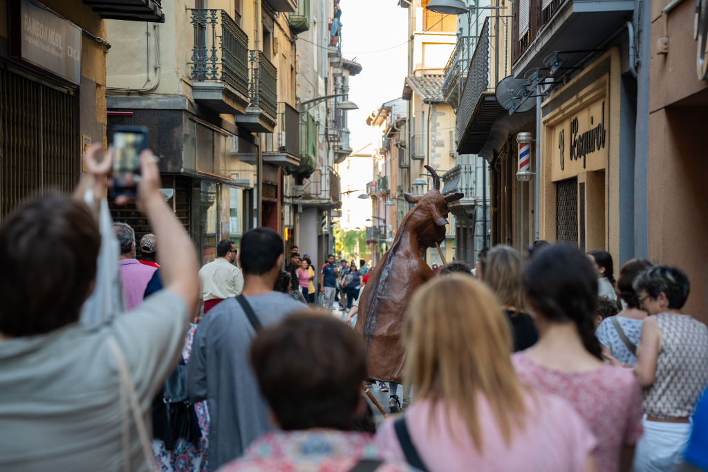 Cornamusam2025_00135