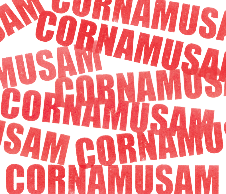 Festival Cornamusam 2026